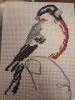 20181203_190858.thumb.jpg.df004d18a31d6016b6ec3ab633d45dbf.jpg?1544422602109