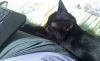 20181206_150628.thumb.jpg.60ba63640ec87b433fca161eae523637.jpg