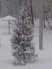20181222_084415.jpg