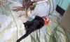 20181225_204119.thumb.jpg.e0c179e7f2ccf0d6c012f6bda0d5cc44.jpg