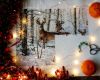 20181230_120741-01.thumb.jpeg.cd7d9a1508c054875fe505048ea84cbd.jpeg