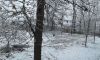 20181231_103146.thumb.jpg.0aec85b7898a7e64a5a1029863080464.jpg