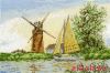 24804.thumb.jpg.1c5e9c5ebdb2ebeb46213cc7d42d54eb.jpg