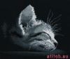 27194.thumb.jpg.386eb506bdca4b799bc7a71060081f05.jpg