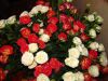 5c0d171d2a36a_IMG_8979-.thumb.JPG.28b9bb7a4cd4a1821297d2b947b7bd9d.JPG