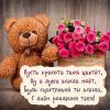 5c2229f409bce_1496157962_mishutka(1).thumb.jpg.a1f76c199c74ecb6b3d887863592fde5.jpg