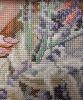 6.thumb.jpg.9b1cbaba0db980f4e215f788b07ae8d2.jpg