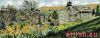9.thumb.jpg.d9888be64cbdc66dd4c1b79ac5eb62d0.jpg
