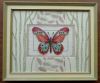 Butterfly.thumb.jpg.386dbdb58972fed61743cef0b474aa8f.jpg