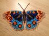 Butterfly1-3.thumb.jpg.a201e31e774930a2fadb7b56db1c0377.jpg