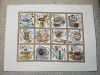 DSC02569.thumb.JPG.f6193a6b937cab978b9b99fa3ae3ac42.JPG