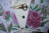 DSC08708.thumb.JPG.8d9770b177b5ea8da1755b8842745f9b.JPG