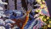 DSC_0596.thumb.JPG.a84e178ed4698139520cf2e509516931.JPG