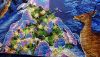 DSC_0639.thumb.JPG.93daeacac95e482854397f1d269c8925.JPG