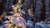 DSC_0661.thumb.JPG.94a682eaffc3edb545cc6e02f2e73220.JPG
