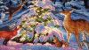 DSC_0668.thumb.JPG.c9f21981c1a2296bc70f0fa094ca6c3b.JPG