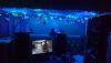 DSC_1067.thumb.JPG.4de65f2664d7620ed46ac4b6cbb871d4.JPG