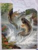 IMG-20181204-WA0000.thumb.jpg.707ea562f466491d22cdeedf69b9dc7a.jpg
