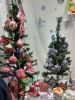 IMG-20181207-WA0012.thumb.jpg.7bdbe756fddbecffeaa402e65ba26a21.jpg