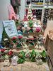 IMG-20181207-WA0017.thumb.jpg.d6d25000c378a864dc6eacd9e490fbbb.jpg