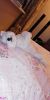 IMG-20181210-WA0002.thumb.jpg.2f0afd68715f7a6d337f87a0c343a365.jpg
