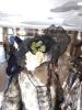 IMG_20181201_113155.thumb.jpg.280757747c3204e16b73cb91e702a1a4.jpg