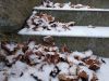 IMG_20181202_125956.thumb.jpg.6d210c7ad2e0feb39f4f46a711786b53.jpg