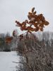IMG_20181202_151839.thumb.jpg.05a294f432cee7587025d5ae25c18031.jpg