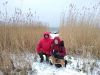 IMG_20181202_153329.thumb.jpg.c6335bb97072dd7d8981e6f74c630845.jpg