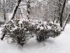 IMG_20181207_133138.thumb.jpg.a418ef60755f9b1a4738c41f42a712f1.jpg
