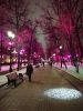 IMG_20181210_202718_HHT.thumb.jpg.7d0c38037b8bd59ad975aa5c5215cc4b.jpg