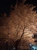 IMG_20181218_213312_HHT.thumb.jpg.a6da059f2987932598b2b3ac5cc0fb59.jpg