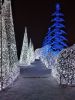 IMG_20181221_211915.thumb.jpg.e32e0a05fe89a88e6e32ba884c76c136.jpg