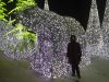 IMG_20181221_212108.thumb.jpg.6eab2aab9a65caca7da8733ddb338db9.jpg