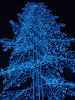 IMG_20181221_212428.thumb.jpg.1786a0d198edbc617dd9d50e7dfae6a2.jpg