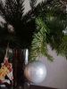 IMG_20181223_154601.jpg