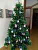 IMG_20181224_145823.thumb.jpg.b6bafa2cf972ebcb5f8e7ece1dd13a63.jpg