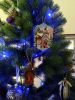 IMG_20181224_150801.thumb.jpg.fbebc86f4b17ab923e5747aec80d9373.jpg