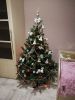 IMG_20181226_185353.thumb.jpg.f6e965550601cd858ca3c798416d8803.jpg