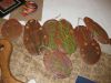 IMG_3187.JPG