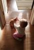 P_20181224_140904_vHDR_On_1.thumb.jpg.4b7e573d23a228a64081afed599ab207.jpg