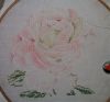 Peonies8.thumb.JPG.76f8bd4a2bddfc8515ab4ef72ce88250.JPG