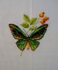 RTOButterfly4.thumb.jpg.3acf1ec80296826962b7415d5f445580.jpg