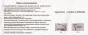 Riolis_793-6.thumb.jpg.f60092bac753bbdf3b04eaa3b4343ae4.jpg