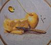 Stilllife6.thumb.JPG.294e460a248d4b1133df06106a13108e.JPG