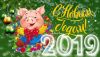 image.thumb.jpg.175cd63d72afcfce6c94ac6114ddb6d5.jpg