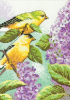 image.thumb.png.490e004357bb02b7b7d48b22b78ab861.png