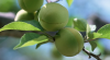 image.thumb.png.6add6e8e8cc2e0beff48af2294545fa5.png