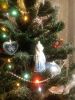 photo_2018-12-20_22-22-08.thumb.jpg.a568ba7fee9c2de6d0d32ad7e8aebfa6.jpg
