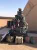 x_tree.thumb.JPG.2488648993a0263de06b7fc822046025.JPG